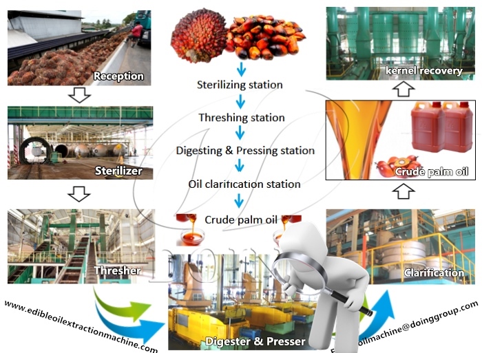 Large scale palm oil processing machine with capacity 60tph 80tph 100tph.jpg