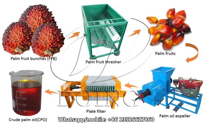 palm oil mill processing line.jpg