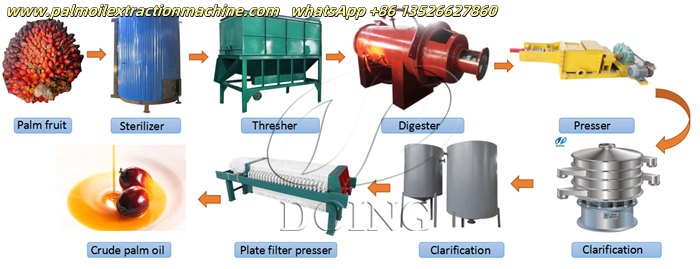 palm fruit oil extraction process.jpg