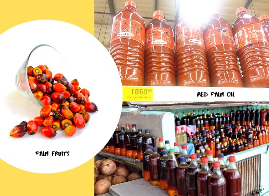 How to improve the efficiency of palm oil extraction machine?