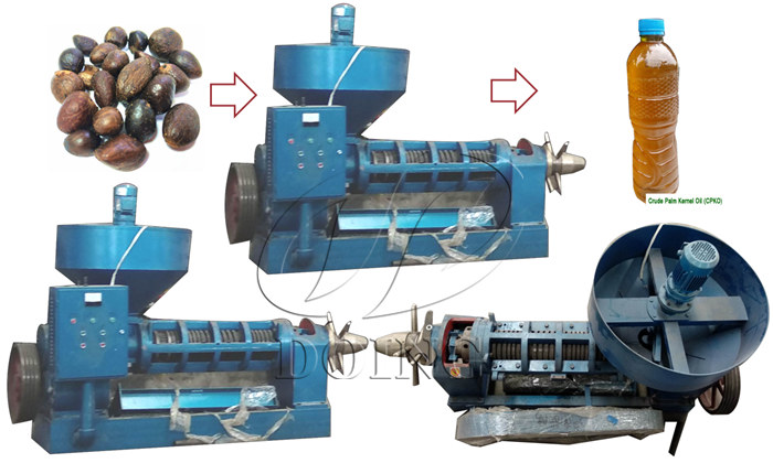 palm kernel oil expeller machine.jpg