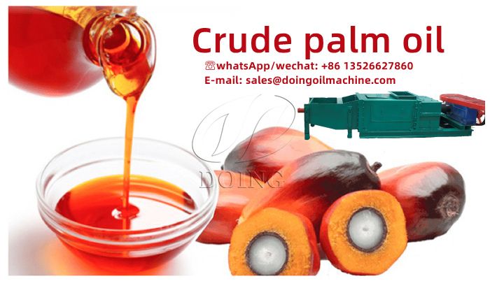 The picture of palm oil.jpg