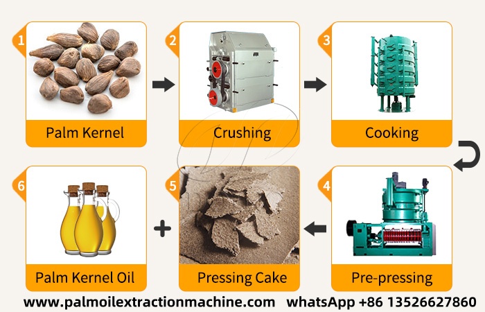 Palm kernel cake (PKC) production process.jpg