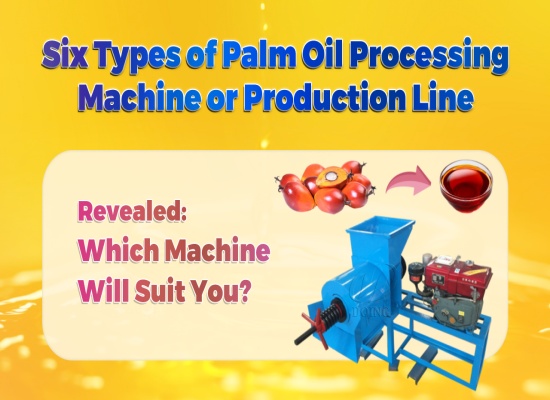 Introduction video of six different types of palm oil extraction machine and pressing lines