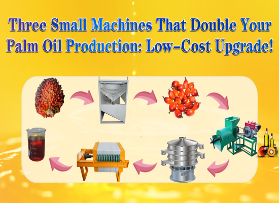 Introduction video of three small palm oil milling machines (Option 2)