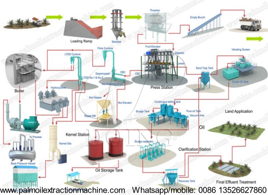 What are the basic equipment needed for a palm oil commercial production?
