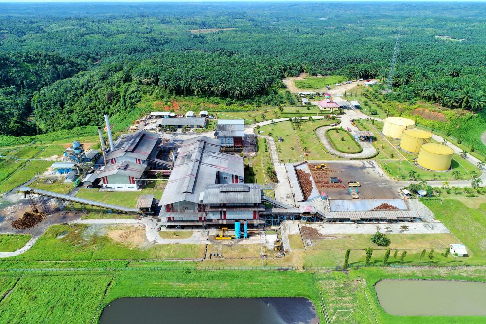 Oil palm plantation and palm oil mill