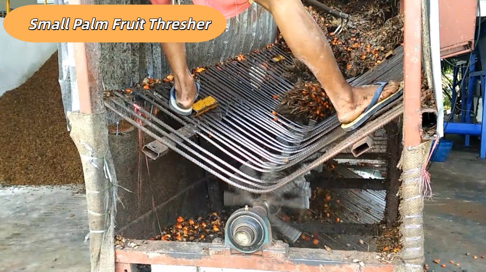 palm fruit thresher