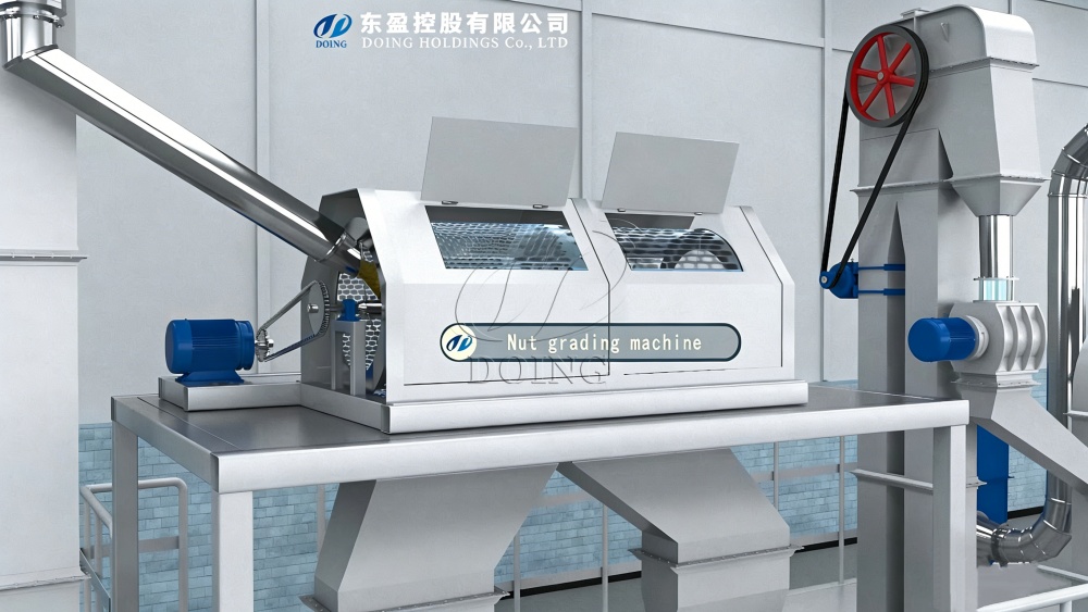 Palm nut grading machine