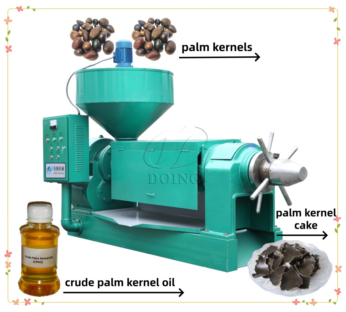 Palm kernel oil presser