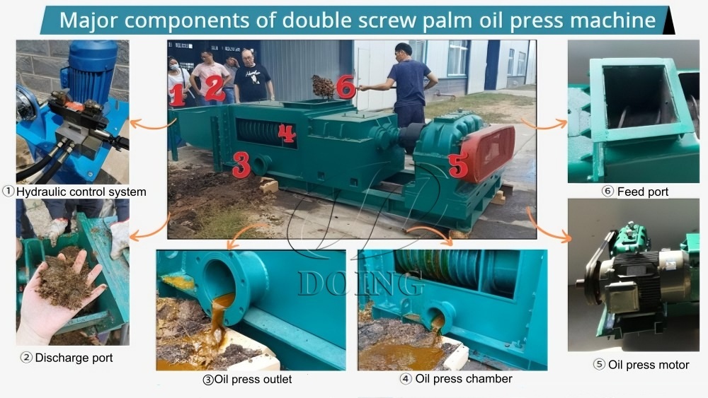 Double screw palm oil press machine