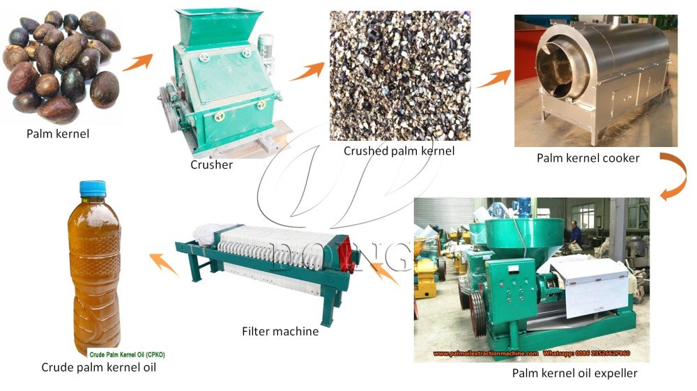 palm kernel oil extraction machines