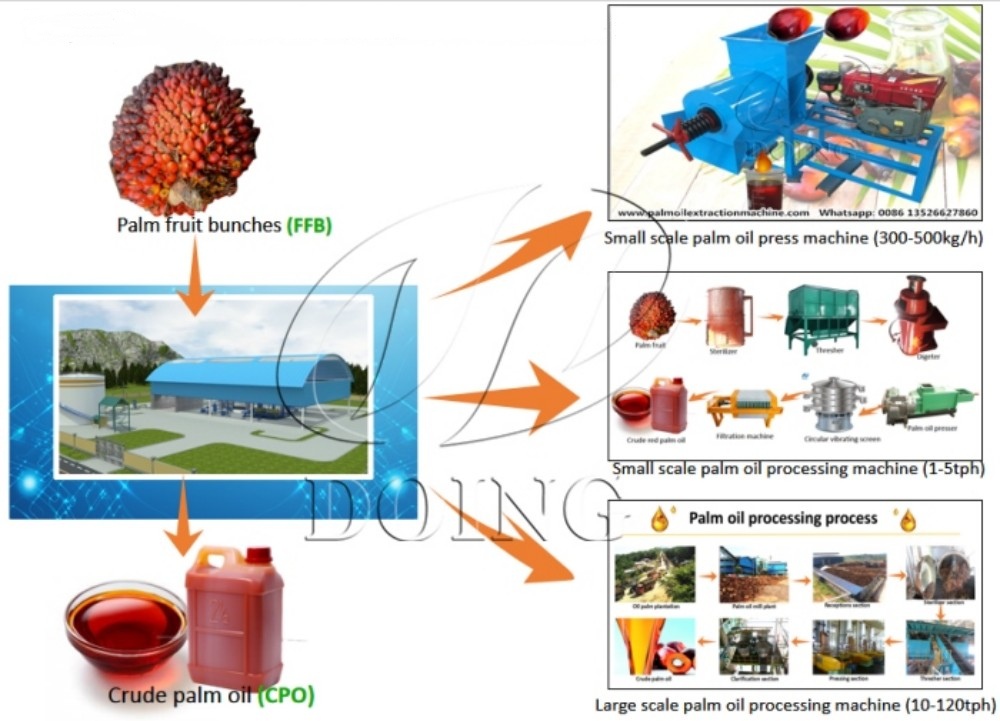 palm oil machines