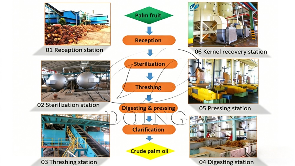 Palm oil processing plant