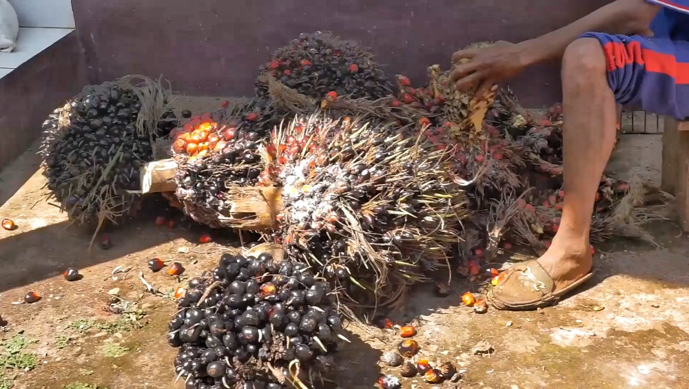 manual threshing