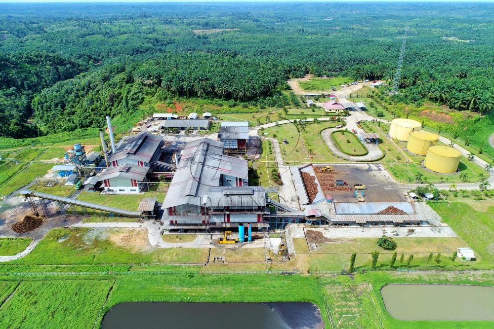 Palm oil mill