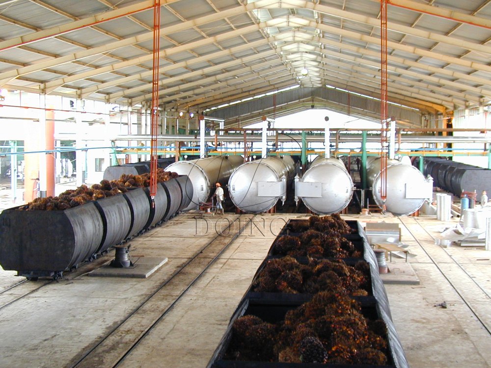 palm fruit sterilization equipment