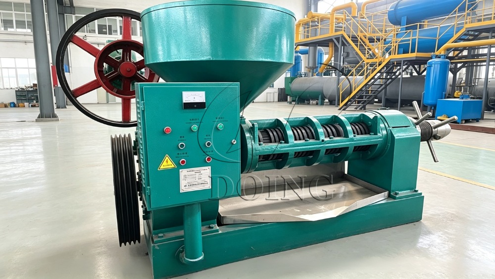 Palm kernel oil press machine