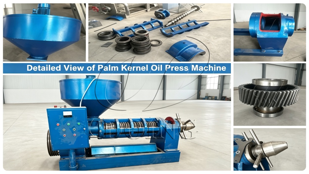 Palm kernel oil press machine