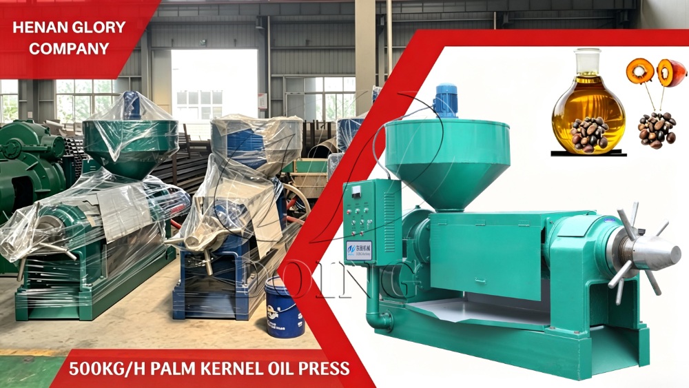 Palm kernel oil press machine