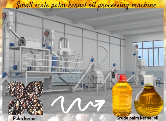 Liberia 2TPH palm kernel oil processing plant project case