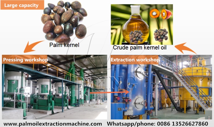 palm kernel oil production equipment