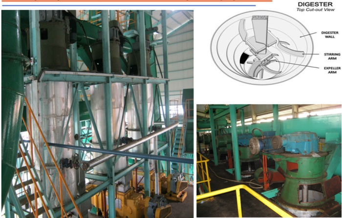 palm oil pressing machine