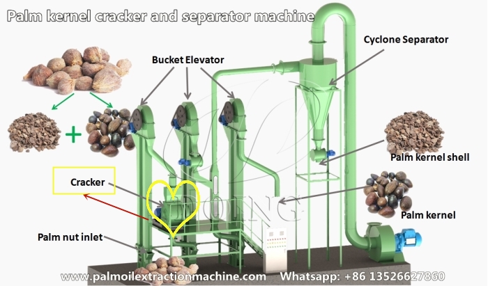 palm kernel oil processing machine