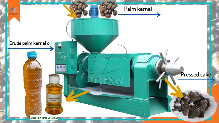 palm kernel oil processing machine