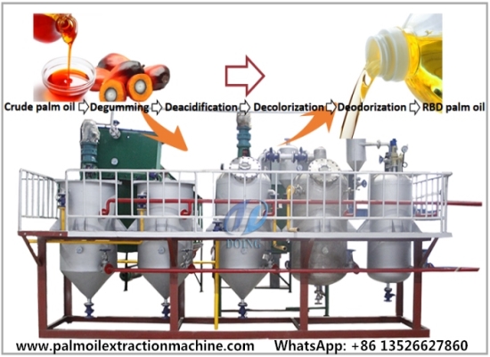How can I purify crude palm oil? What is the purification process?