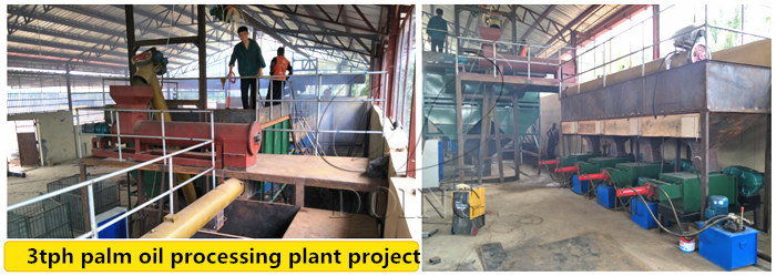 palm oil processing plant 
