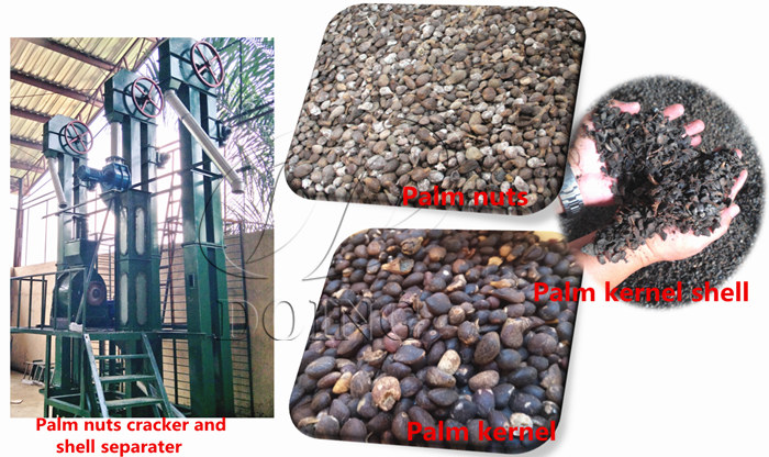 palm kernel crusherr and shell separater