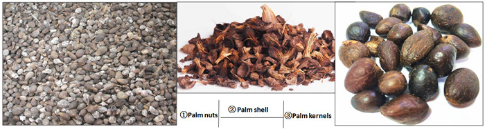 palm kernel cracker and separater machine