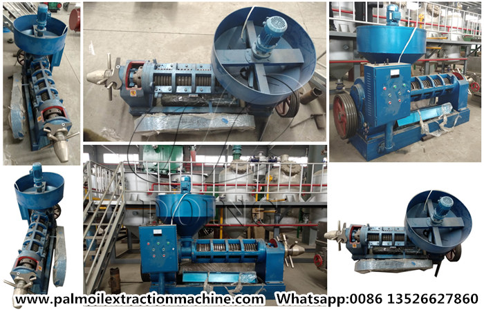 palm kernel oil expeller machine 