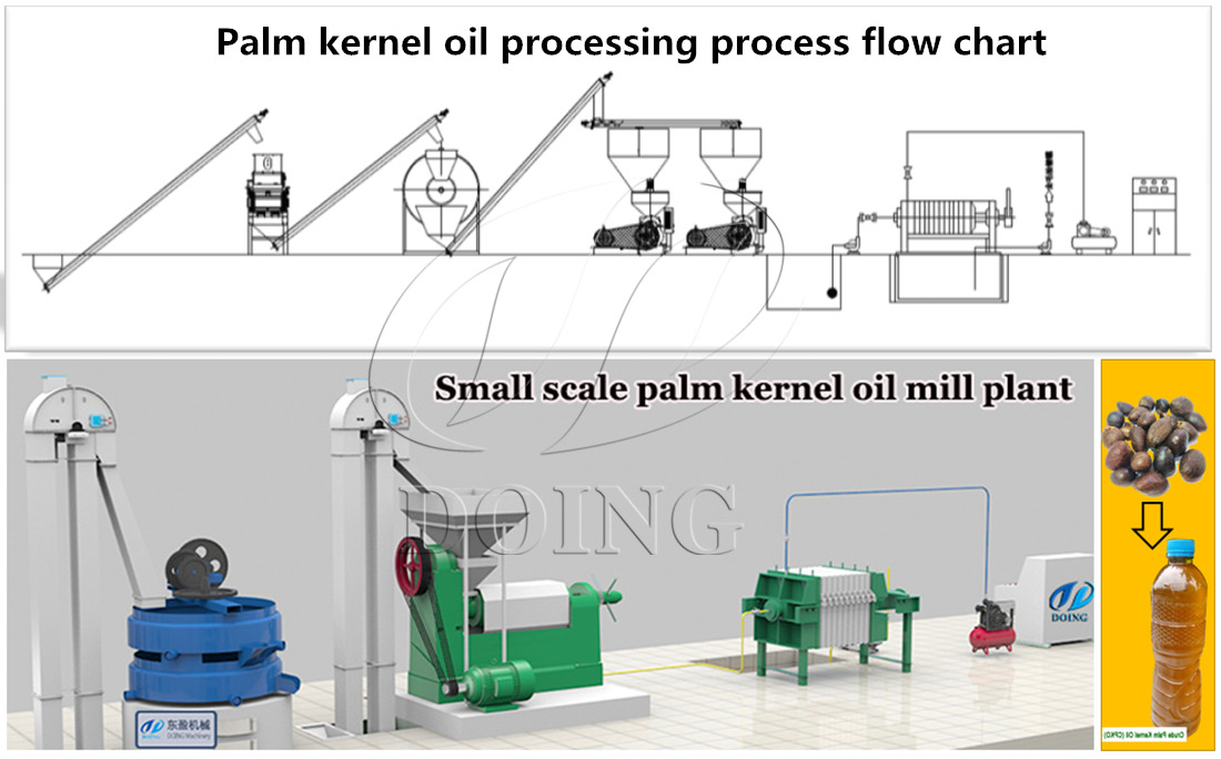 palm kernel oil processing process