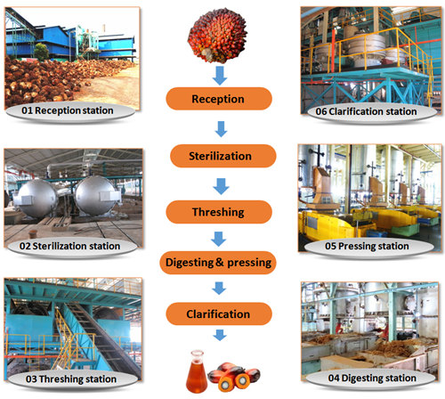 palm oil processing machine