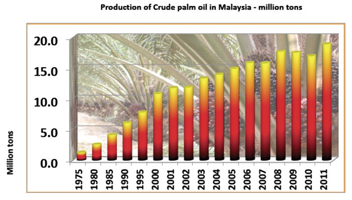 palm oil production in Malaysia 