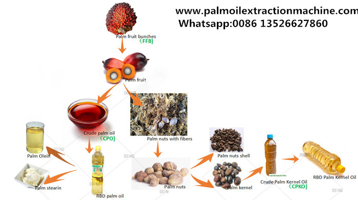 palm oil extraction process