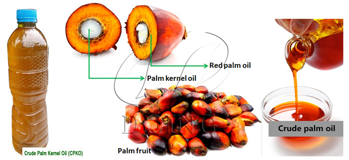palm oil production in Nigeria 