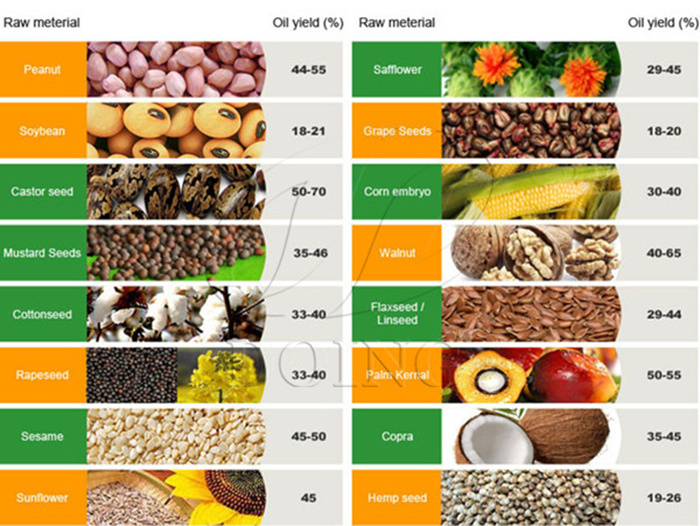 palm oil processing business in Philippines