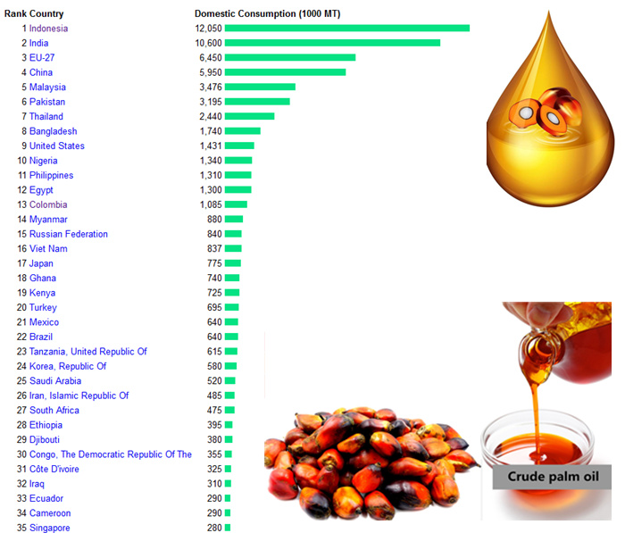 palm oil processing business in Philippines