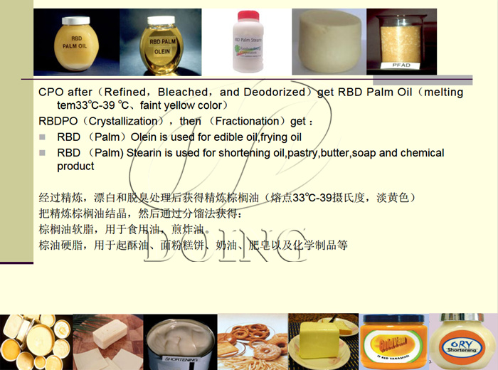 palm oil processing business in Philippines