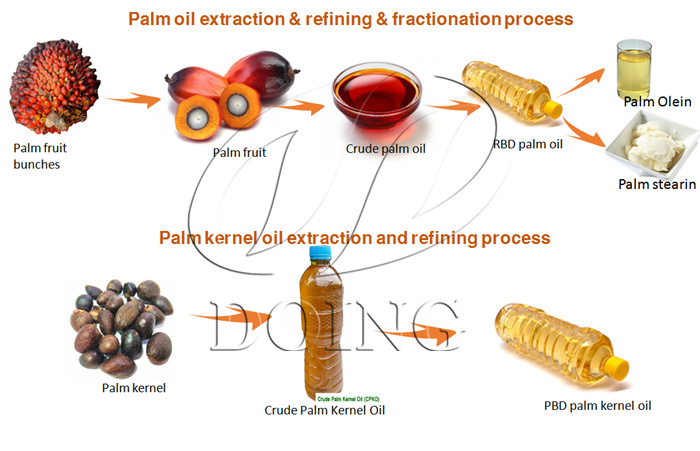palm oil processing machine 