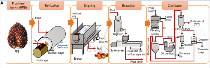 palm oil mill process