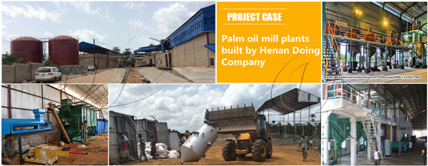 palm oil processing machine 