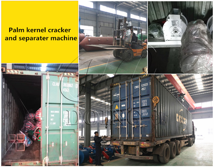 palm kernel cracker and separater