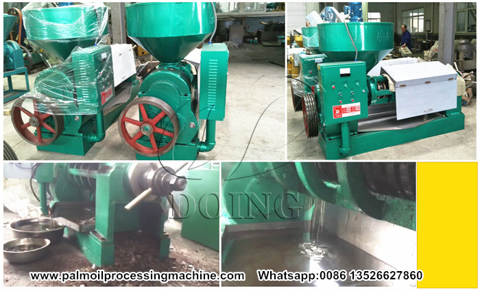 palm kernel oil making machine 