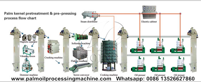 palm kernel oil making machine 