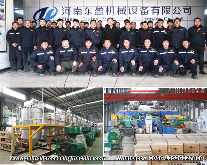 palm kernel oil making machine 