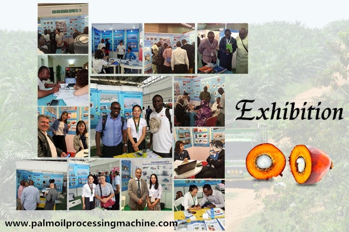 palm kernel oil processing machine 